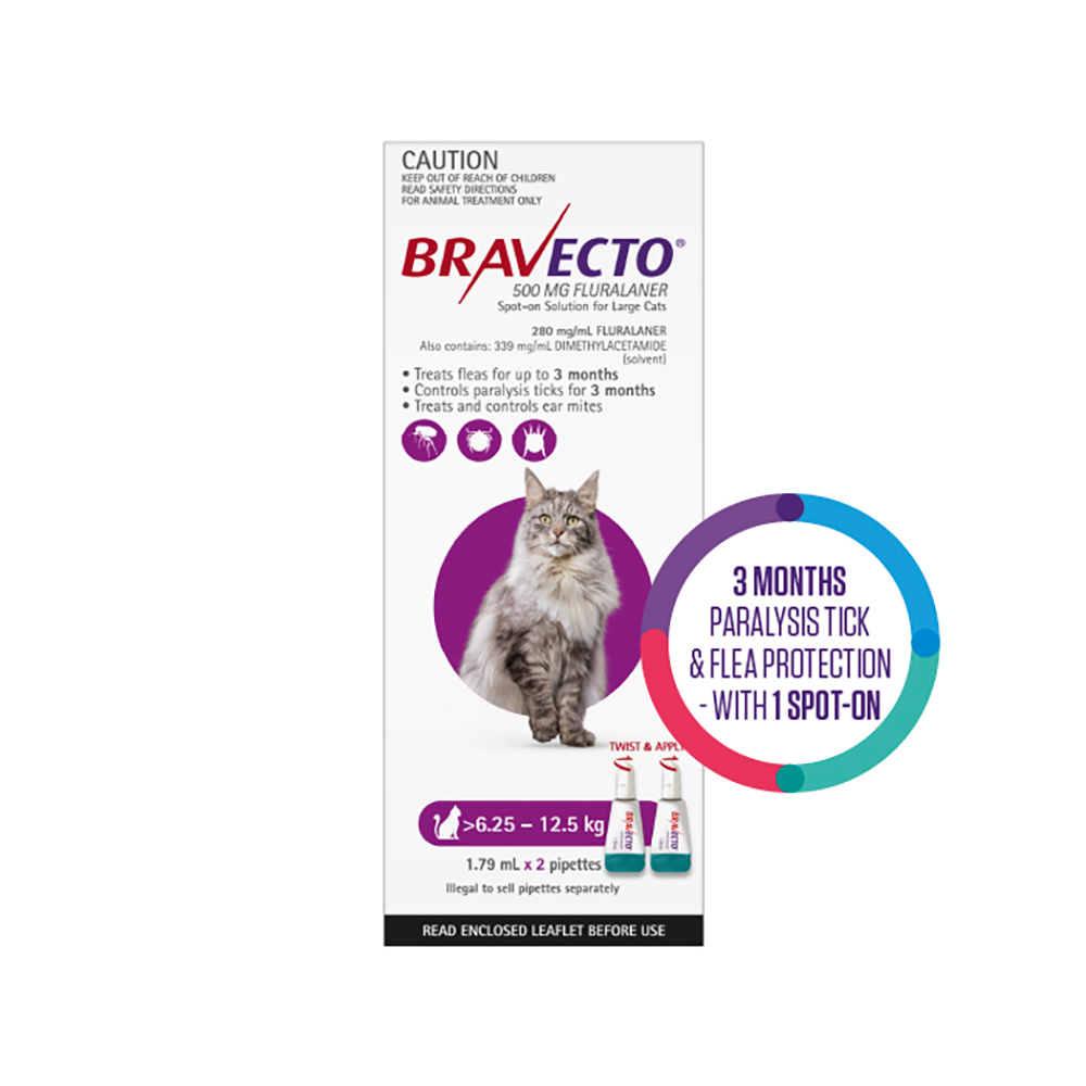 Bravecto Spot On For Large Cats (6.25 - 12.5 kg) Purple