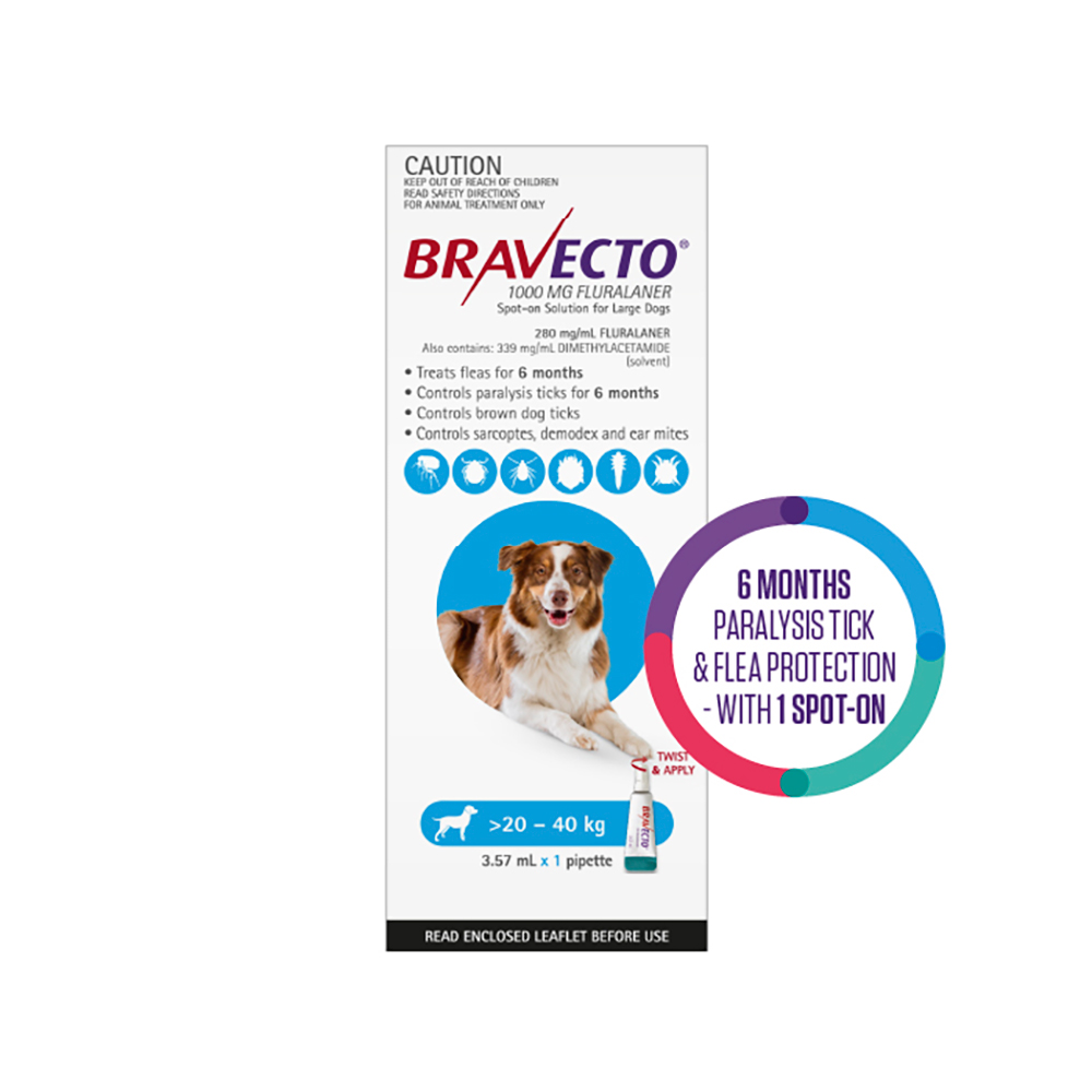 Bravecto Spot On for Large Dogs (20 - 40 kg) Aqua