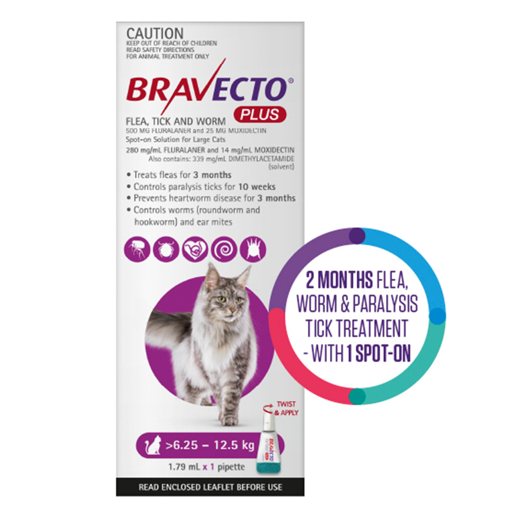 Bravecto Plus for Large Cats 6.25 – 12.5 kg (Purple)