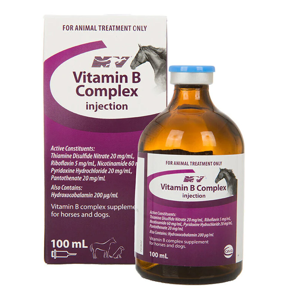 Ceva NV Vitamin B Complex Injection for Horses and Dogs