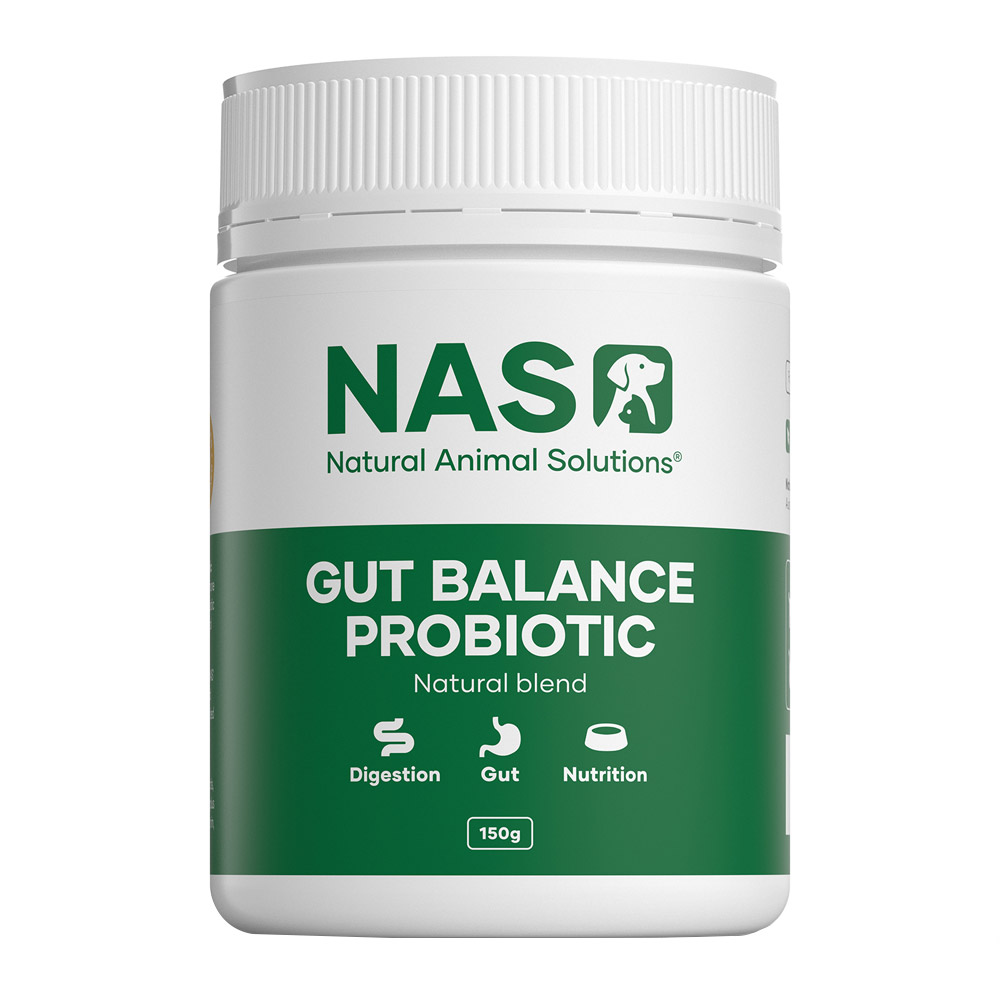 Natural Animal Solutions (NAS) Gut Balance Probiotic Supplement for Dogs and Cats Natural Blend