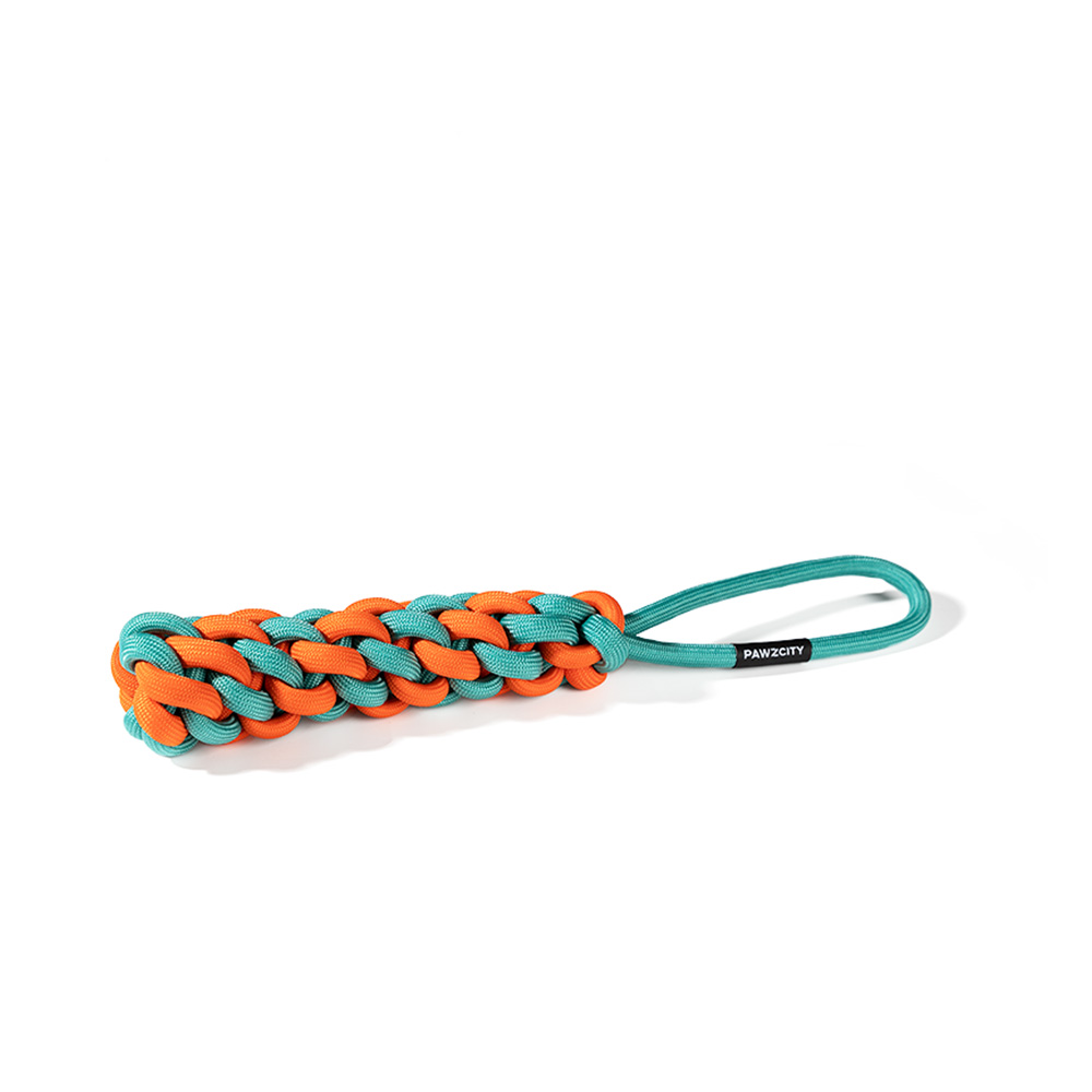 Pawzcity Interactive Rope Stick With Loop - Rockmelon