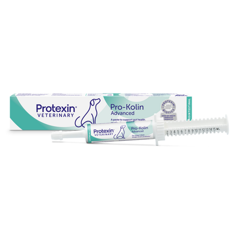 Protexin Veterinary Pro-Kolin Advanced Paste For Dogs