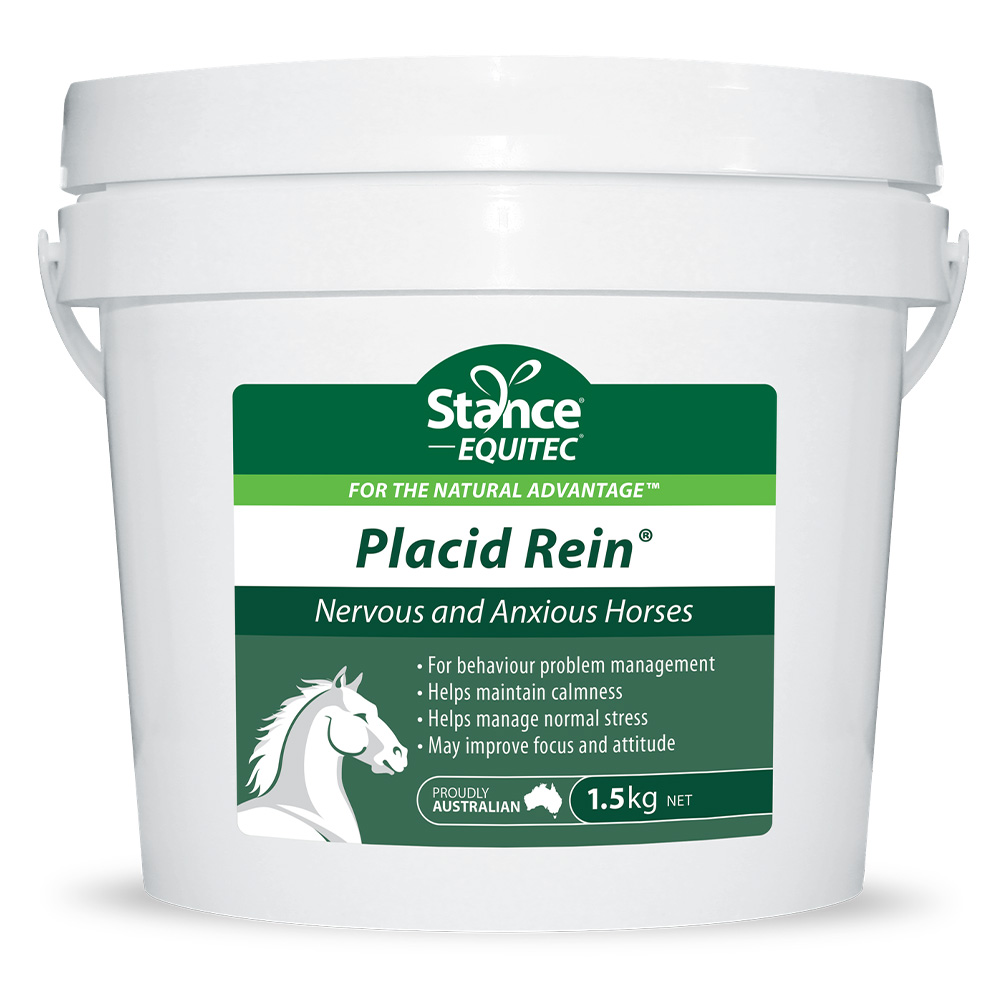 Stance Equitec Placid Rein for Horses