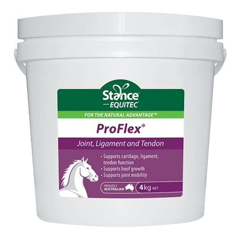 Stance Equitec Proflex for Horses