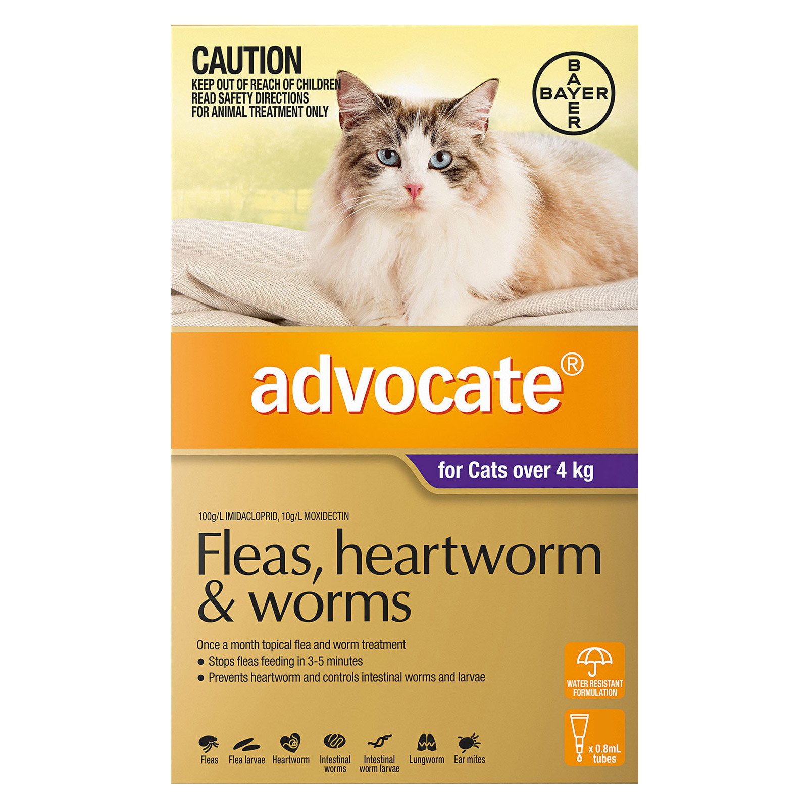 Advocate For Cats Over 4Kg (Purple)