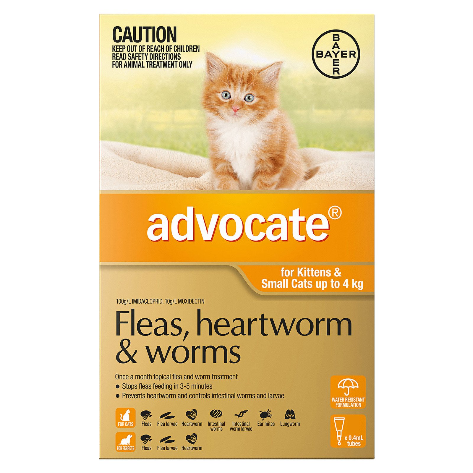 Advocate For Kittens & Small Cats Up To 4Kg (Orange)