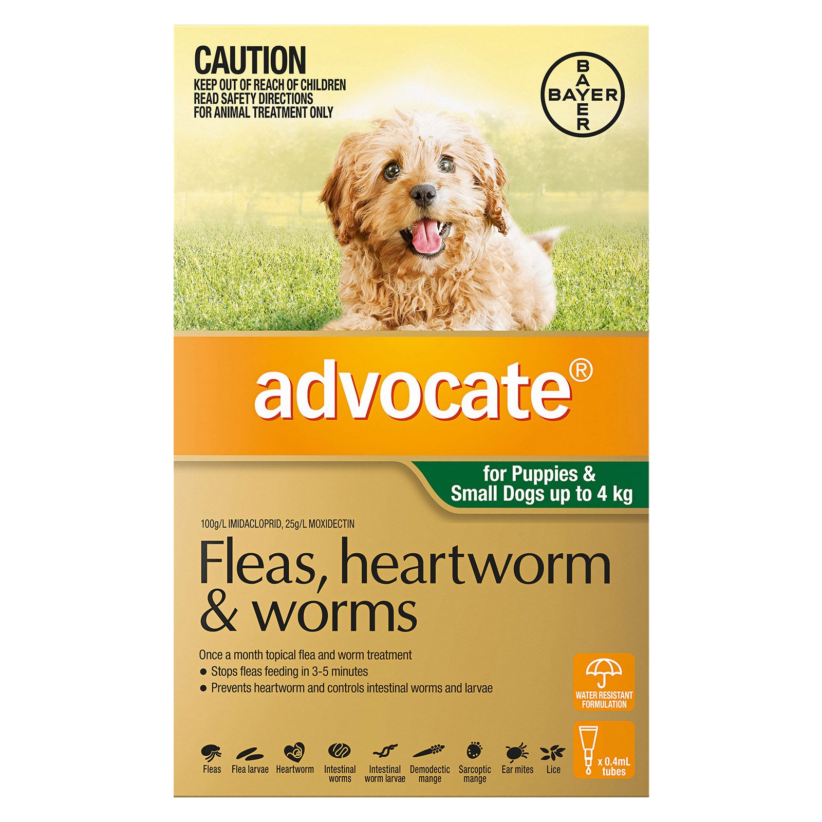 Advocate For Dogs up to 4 kg (Small Dogs/Pups) Green