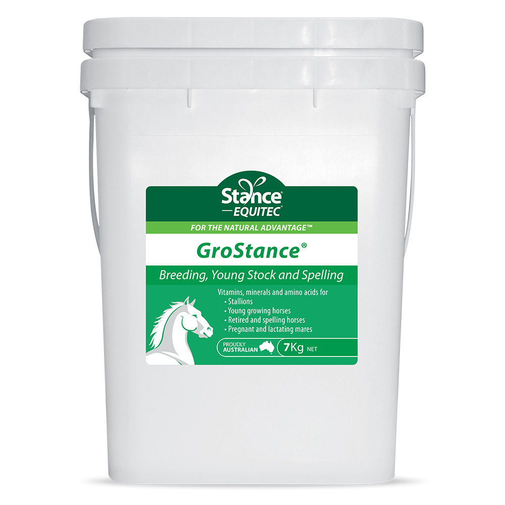 Stance Equitec Grostance for Horses